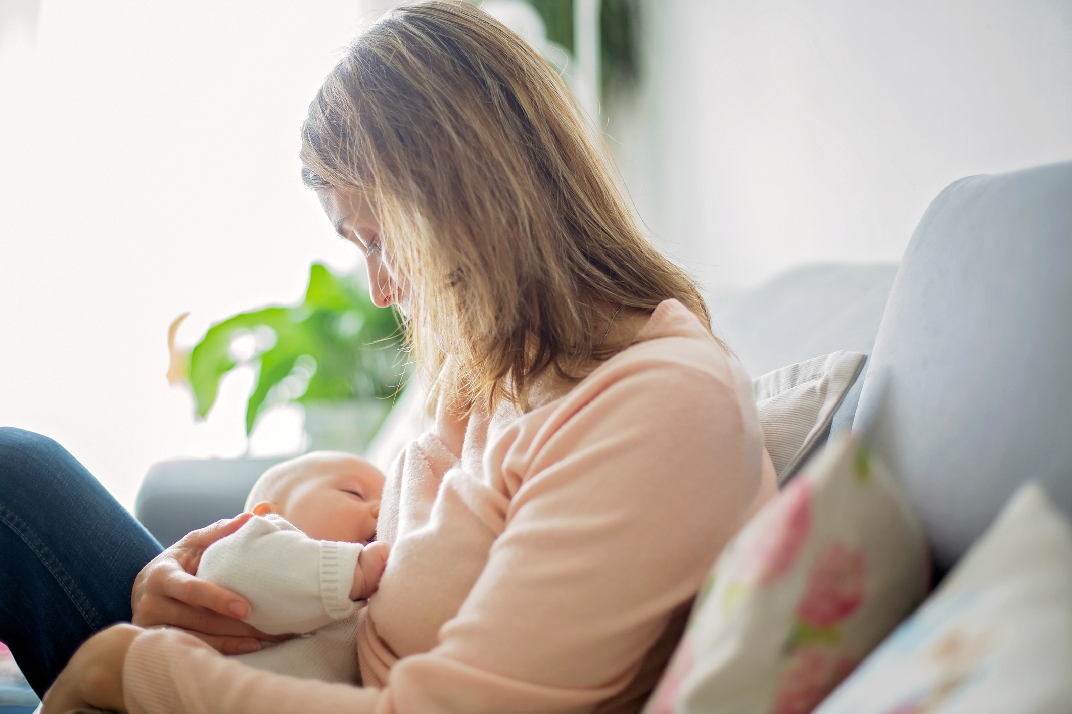 breastfeeding and daycare